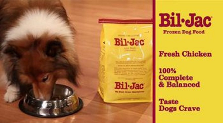 best dog food brands
